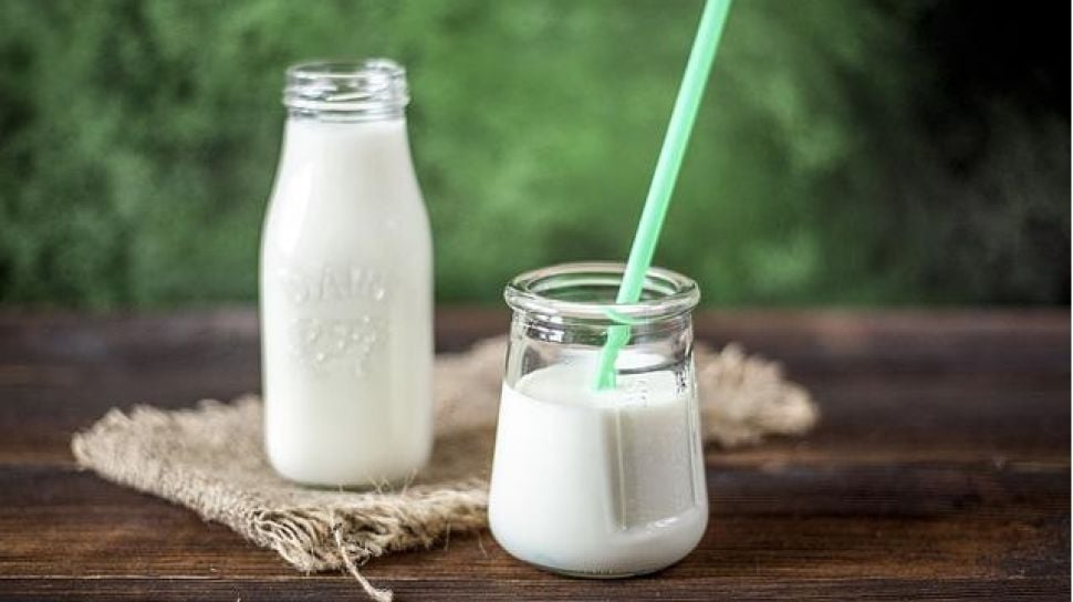 Susu Terbaik Buat Lansia Untuk Menjaga Kesehatan